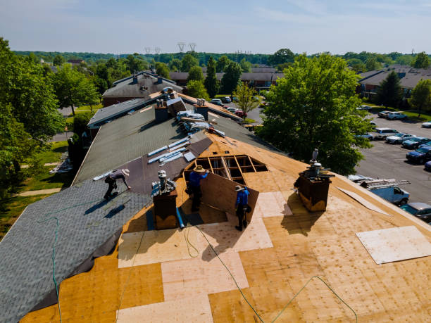 Trusted Roof Inspection service in Junction City, CA - Brentwood Metal Roofing